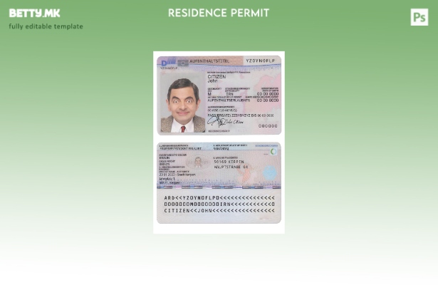 модерен стил Германија дозвола за престој, шаблон за верзија